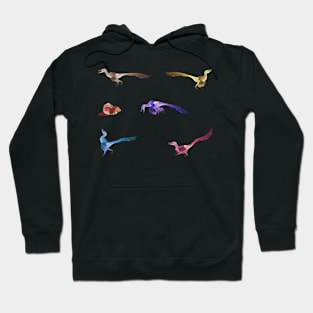 Color Velociraptors! 4 Hoodie